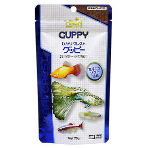 L[@ЂNXg@Obs[@70g@@ll30_@֓