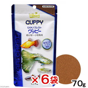 L[@ЂNXg@Obs[@70g×6܁@@ll5_@֓