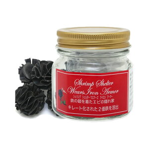 Vv@VF^[@EFAY@ACA@A[}[@5@SVF^[@S̊Z𒅂@tGr̉BƁ@֓