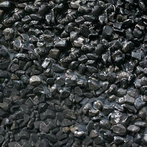 NoD82@BlackiubNj@eځ@1bg@ll12_@֓