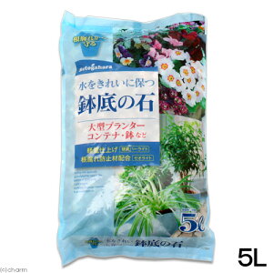 ˃ԉ@̐΁@5L@|@ꏰ@K[fjO@΁@ƒ؉@֓