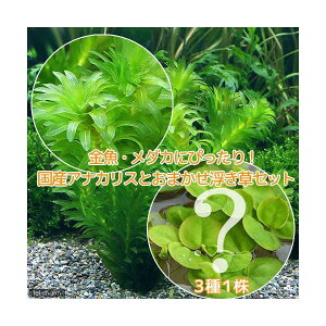 ij_JE@Y@_AiJXi5{j{܂3i_ji1j