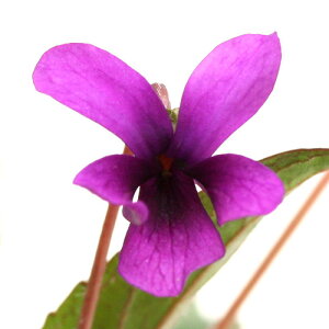 iR쑐jX~i俁j~EWX~i_俁j2D5`3i1|bgjixԁj