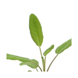 iϗtAjn[uc@Z[W@R@3i1|bgj@ƒ؉@eB[