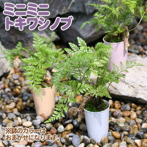 iϗtAjV_@~j~jgLVmu@1i1j@gLVmu