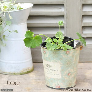 iϗtAjn[uc@[jE@Abv@3i1|bgj@ƒ؉@A}