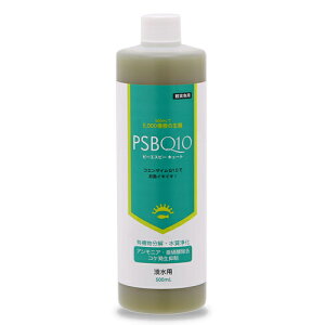 PSBQ10@s[GXr[L[g@Wp@500mL@_J@@Mы@׋ہ@oNeA@֓