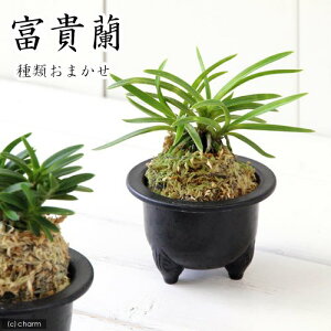 iR쑐jtELixMj@i킨܂@3`4i1jixԁj