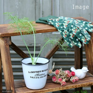 iϗtAjn[uc@tFl@t[X@3i1|bgj@ƒ؉