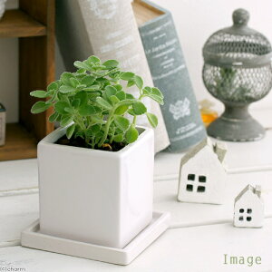 iϗtAjA}eBJX@픫A@}bgzCgi1j@Mt@Z~X@A@@@v[g