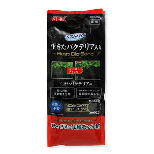 GEX@xXgoCITh@0D6L@ꏰ@WFbNX@\C@ANAE@Mы@pi@֓