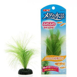 GEX@_Ji@ӂӂYS@lH@CAEgpi@Y@֓