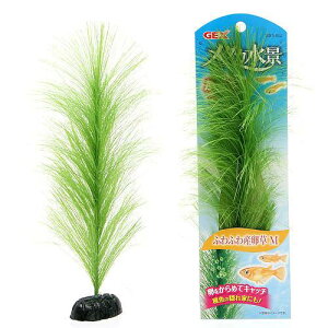 GEX@_Ji@ӂӂYM@lH@CAEgpi@Y@֓