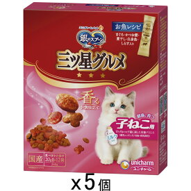 キャットフード　銀のスプーン　三ツ星グルメ　健康に育つ子ねこ用　お魚レシピ　240g（20g×12袋）×5個　お一人様5点限り　関東当日便