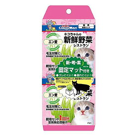 キャティーマン　ネコちゃんの新鮮野菜　レストラン　2個パック　猫用　栽培セット　関東当日便