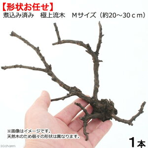 形状お任せ 煮込み済み 極上流木 Mサイズ(約20〜30cm)1本 アクアリウム テラリウム レイアウト素材 関東当日便