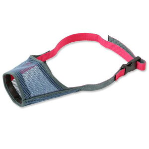 AEgbgi@^[L[@ց@6@@ց@󂠂@֓