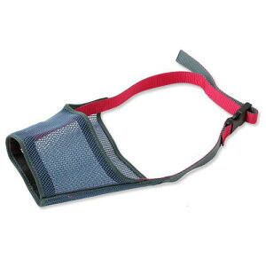 �^�[�L�[�@������ց@7���@���@���ց@�֓�������