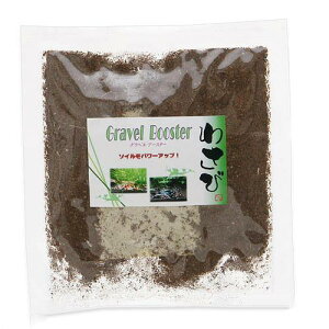 Oxu[X^[@17g@Gr@Vv@グ@֓