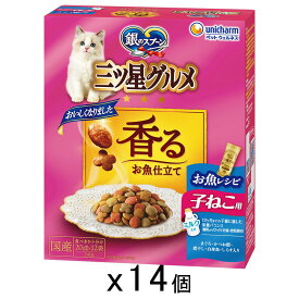 キャットフード　銀のスプーン　三ツ星グルメ　健康に育つ子ねこ用　お魚レシピ　240g（20g×12袋）×14個　お一人様1点限り　関東当日便