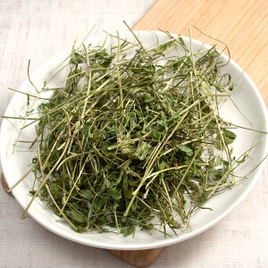 Y@炷̂ǂ@10g@̂@@nX^[@Y@F@֓