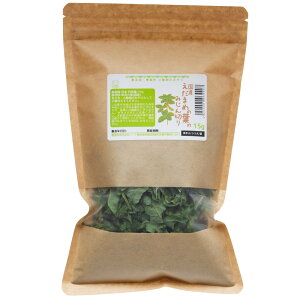 Y@܂߂̗t݂̂؂@15g@̂@@nX^[@Y@F@֓