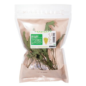 Y@c؁i񂳂j@5g@̂@@nX^[@Y@F@֓