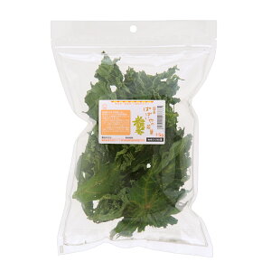 Y@ppC̎t@15g@p̂@Y@F@֓