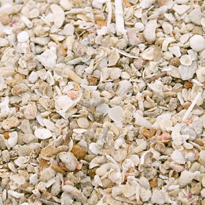 JVEAN^[pASiCgfBA@1L@Cp@֓