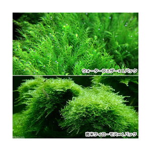 ijăEB[X{EH[^[tFU[@oitji_jie1pbNj