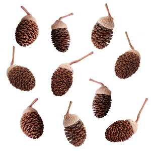 ₵Ԃ̎@ǂ񂮂Xqt@10@x^@r[Vv@ANAEpi@Leaf@֓