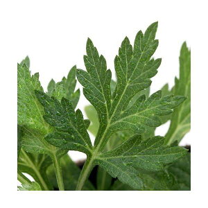 iR쑐jMiHj@3i1|bgjixԁj