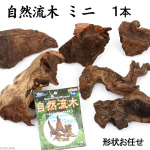 `󂨔C@R؁@~ji15cmȉj@1{@ANAE@@֓