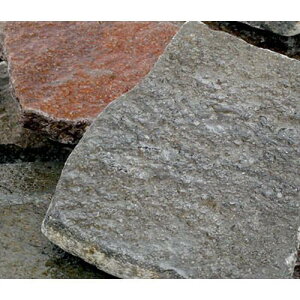 `󂨔C@P΁@MTCYi10`20cmj@4@Yi@ANAE@CAEgfށ@֓