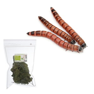 iajbh[iWCAg~[@W{~[j@50g@h{Zbg@{Bl