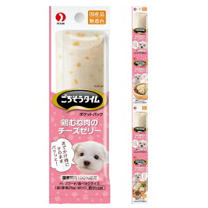 ^C@|PbgpbN@{ނ˓̃`[Y[[@100g@֓