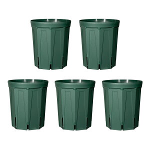 �X���b�g���@�����O�^�C�v�@CSM�|180L�@���X�O���[���@5�Z�b�g�@����l�l4�_����@�K�[�f�j���O�@���@�֓�������