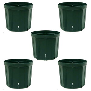 スリット鉢 CSM−240 モスグリーン 5個セット お一人様2点限り バラ鉢 果樹鉢 関東当日便
