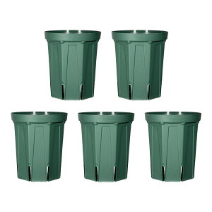 �X���b�g���@�����O�^�C�v�@CSM�|150L�@���X�O���[���@5�Z�b�g�@����l�l6�_����@�K�[�f�j���O�@�v�����^�[�@�֓�������