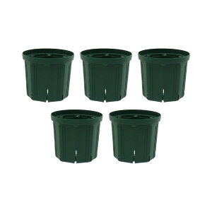 �X���b�g���@CSM�|180�@���X�O���[���@5�Z�b�g�@����l�l4�_����@�K�[�f�j���O�@���@�֓�������