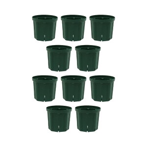 �X���b�g���@CSM�|180�@���X�O���[���@10�Z�b�g�@����l�l2�_����@�K�[�f�j���O�@���@�֓�������