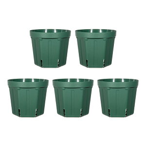 �X���b�g���@CSM�|150�@���X�O���[���@5�Z�b�g�@����l�l10�_����@�K�[�f�j���O�@�v�����^�[�@�֓�������