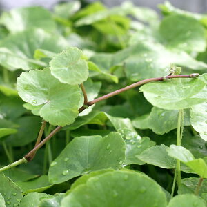 ijA}]`hOTitji_ji10{j