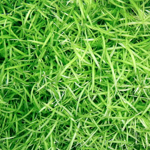 ijAtJ`F[\[hitji_ji12j