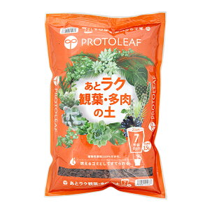 |{y@vg[t@ƃNϗtE̓y@3D5L@RS~Ŏ̂Ă@֓