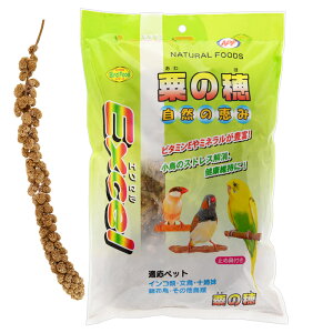 NPF�@�G�N�Z���@���̕�@500g�@�֓�������