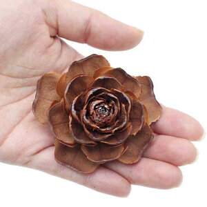 V_[[Yiq}̎j1@NX}X@؂̎@֓