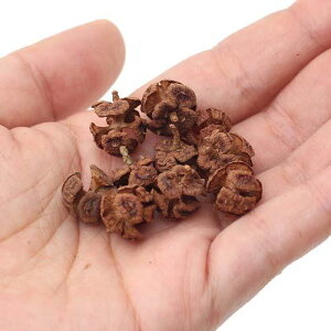 Ђ̂̎@10@NX}X@؂̎@֓