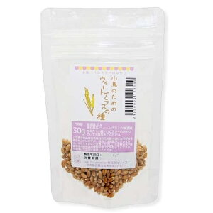 ̂߂̃EB[gOX̎@30g@@nX^[@֓