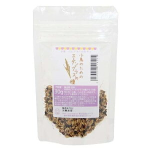 ̂߂̃X[_OX̎@30g@@nX^[@֓